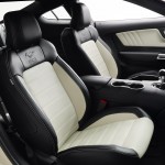 2015 mustang