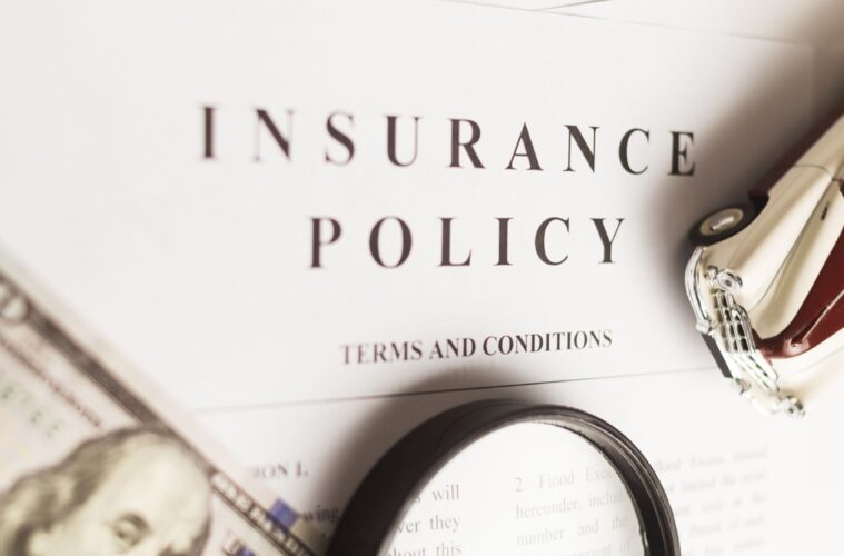 insurance